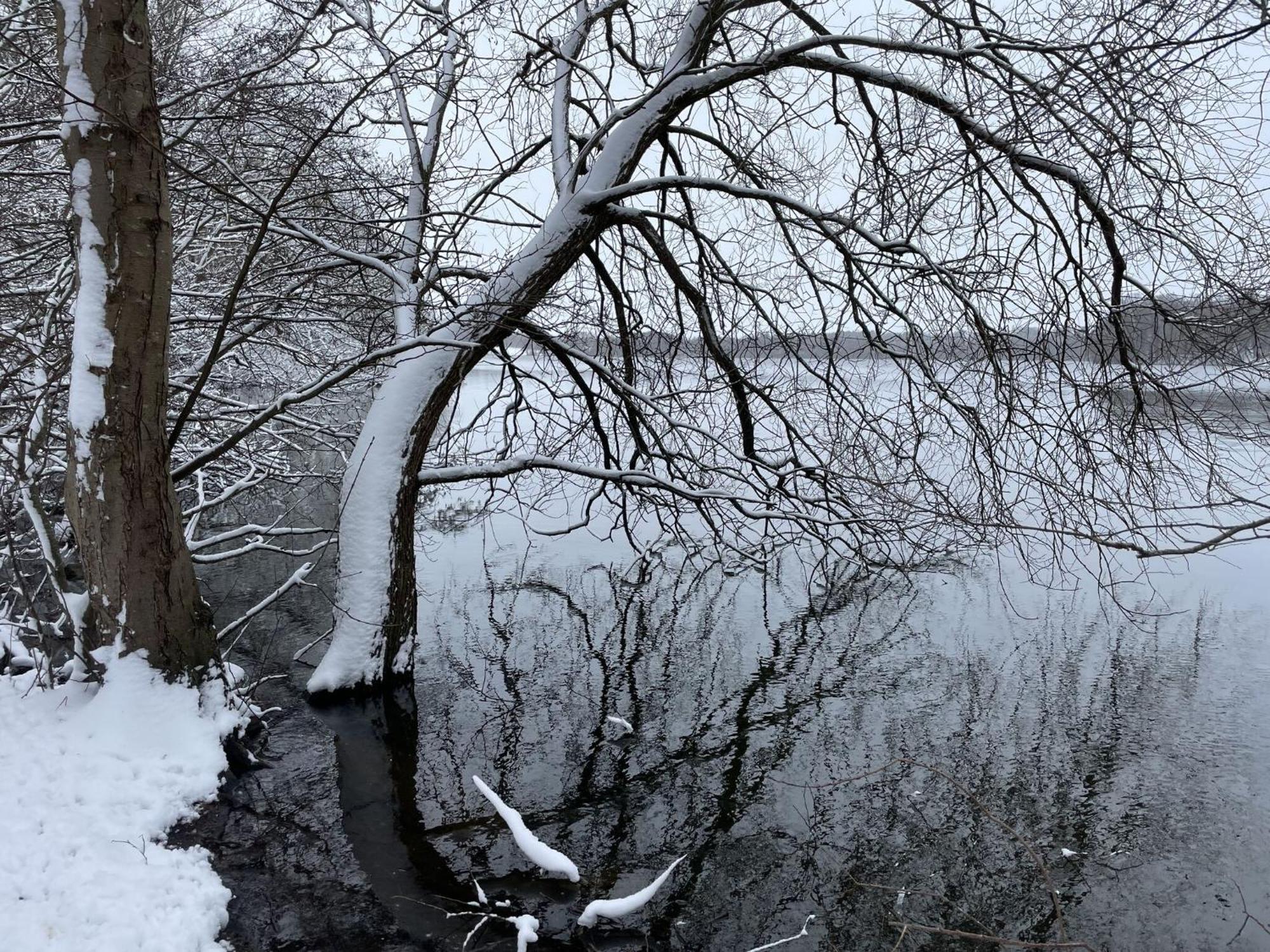 Flat In Eutin On The Kleiner Eutiner See Lake Exterior photo